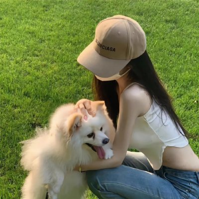 神犬小七第一季