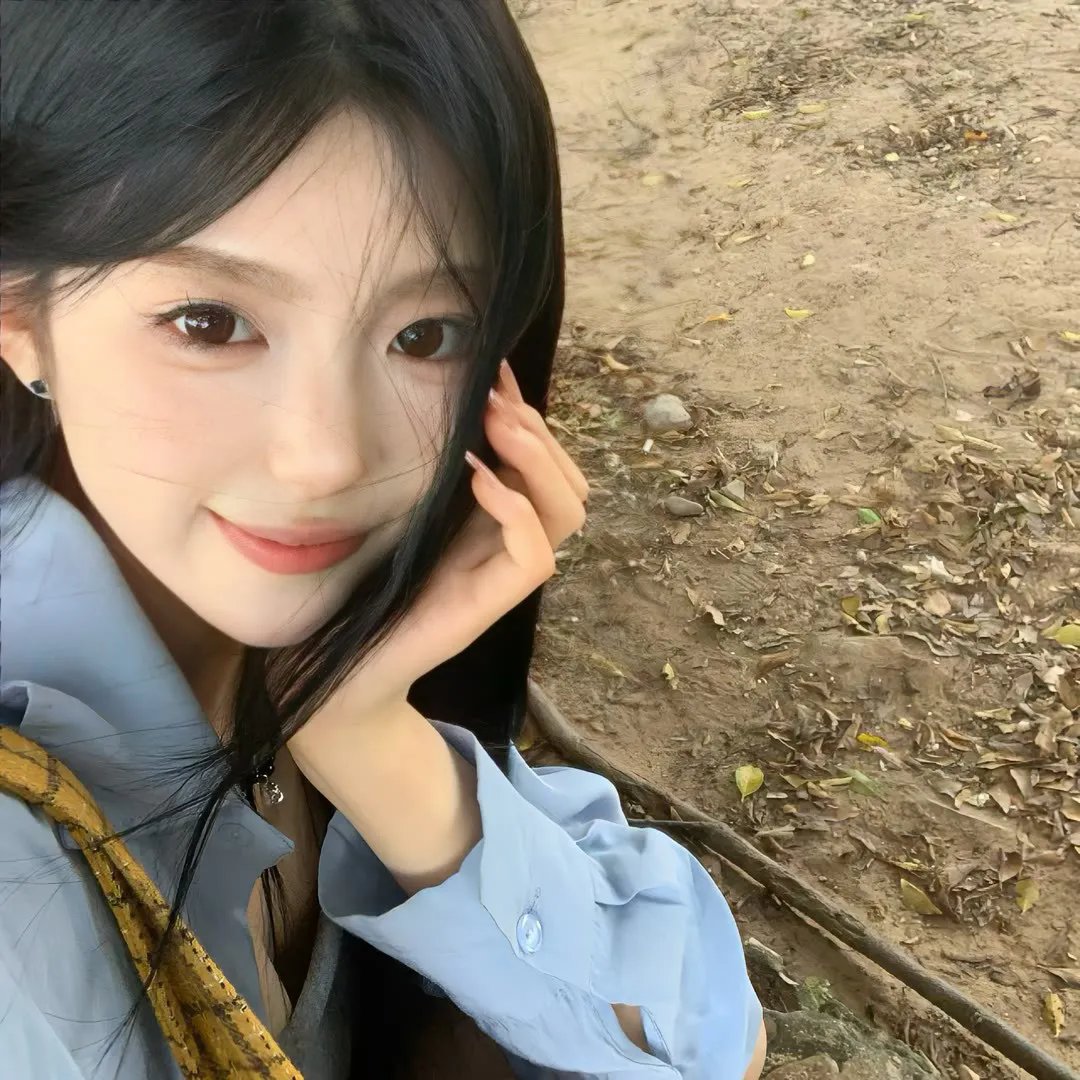 综艺大集合